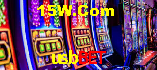 usbbet App Interface
